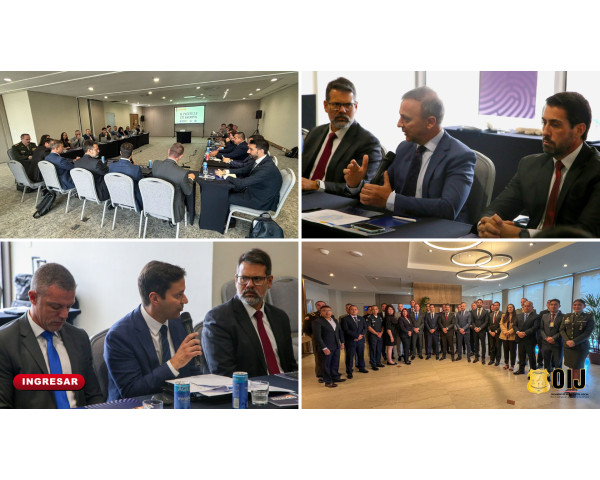 OIJ se reune en Brasil con AMERIPOL 
