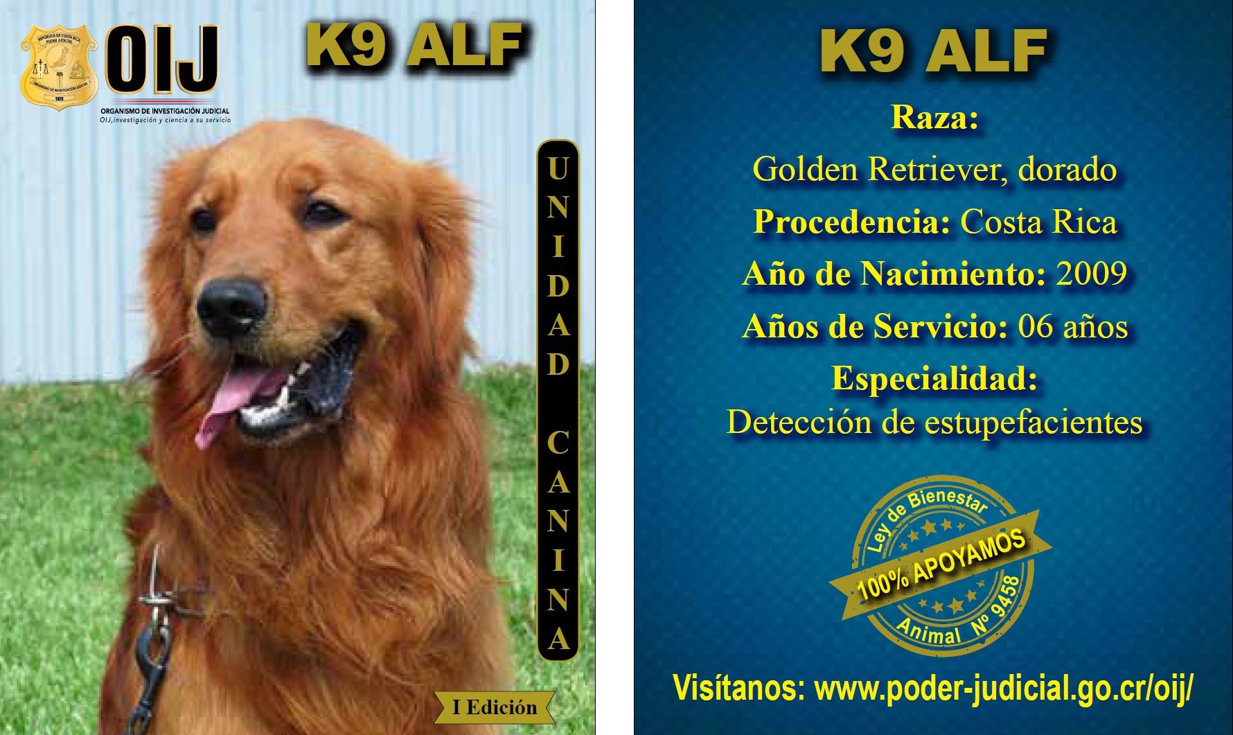 Alf