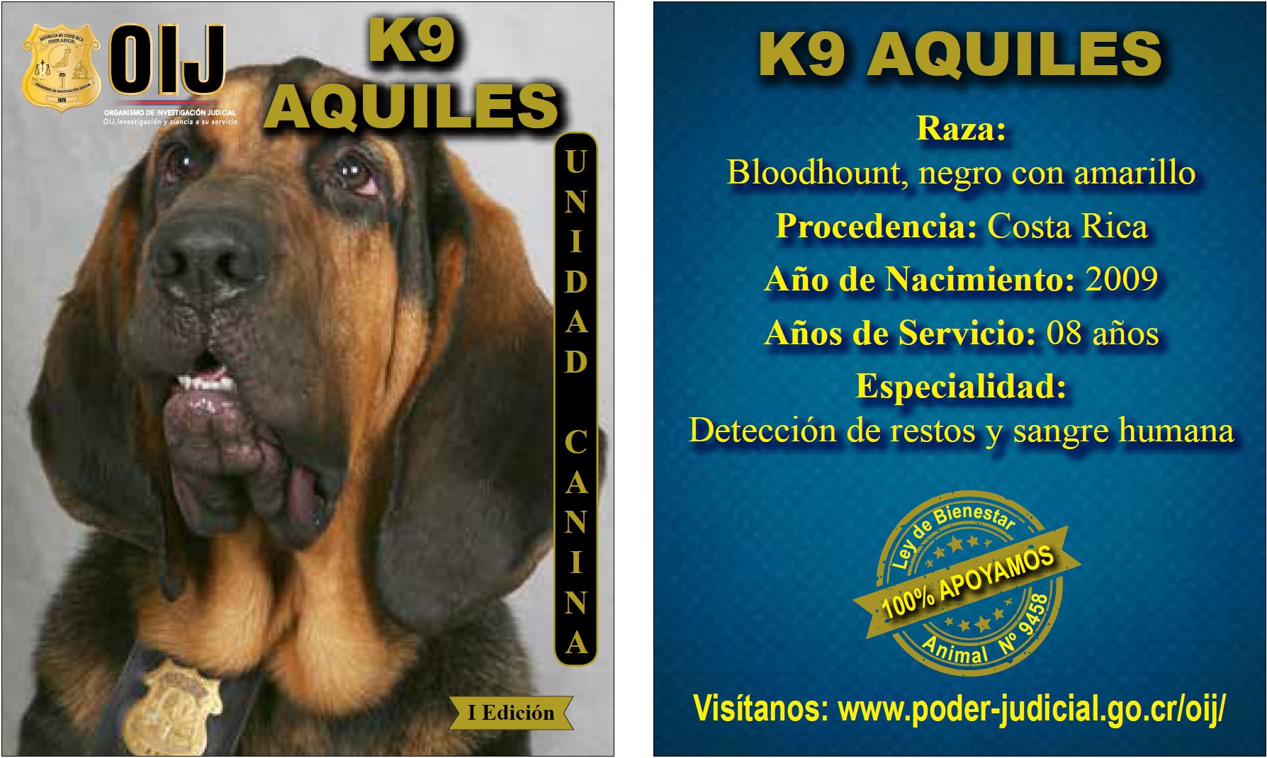 Aquiles