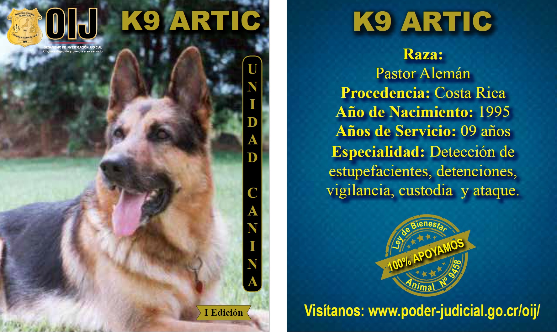 Artic
