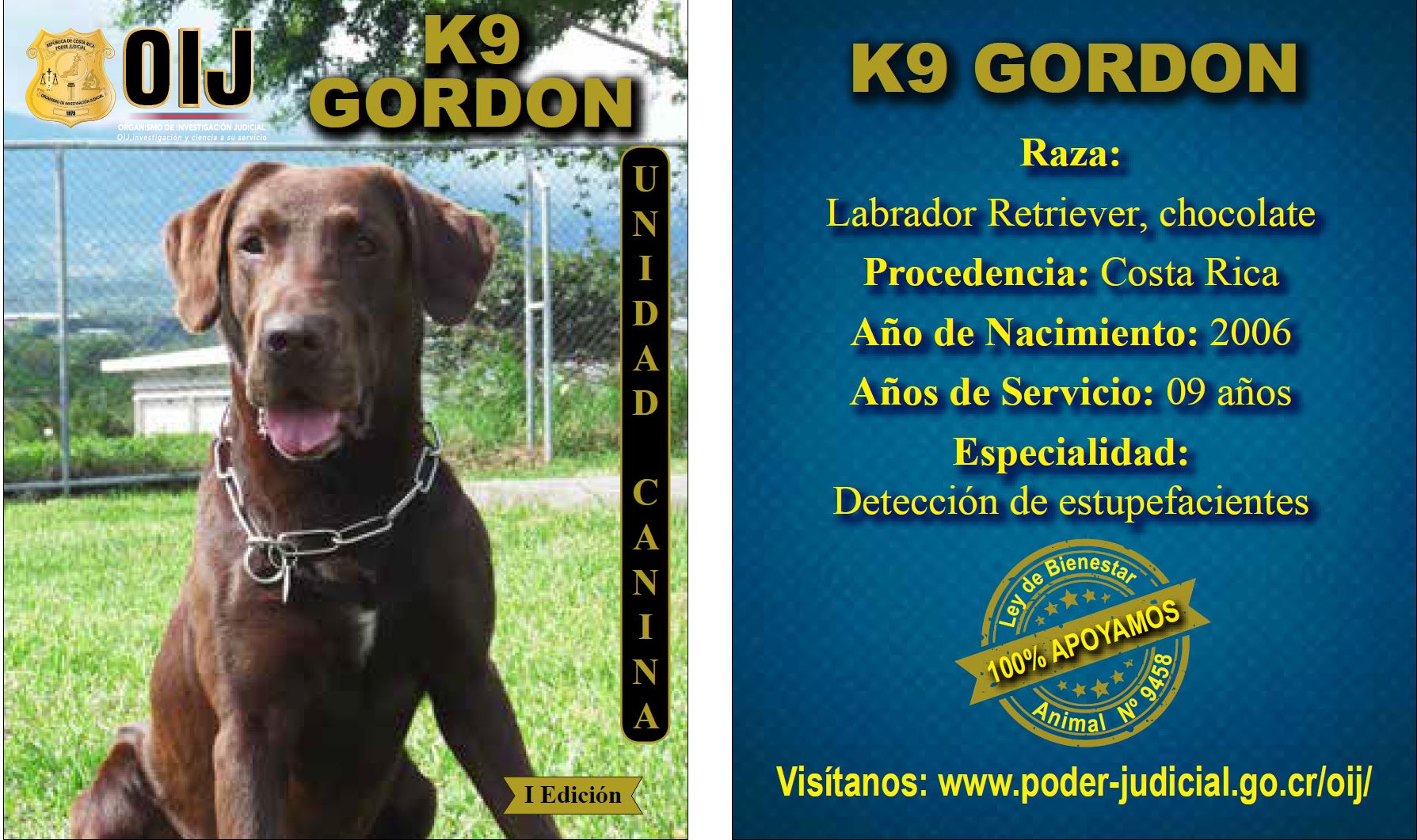 Gordon