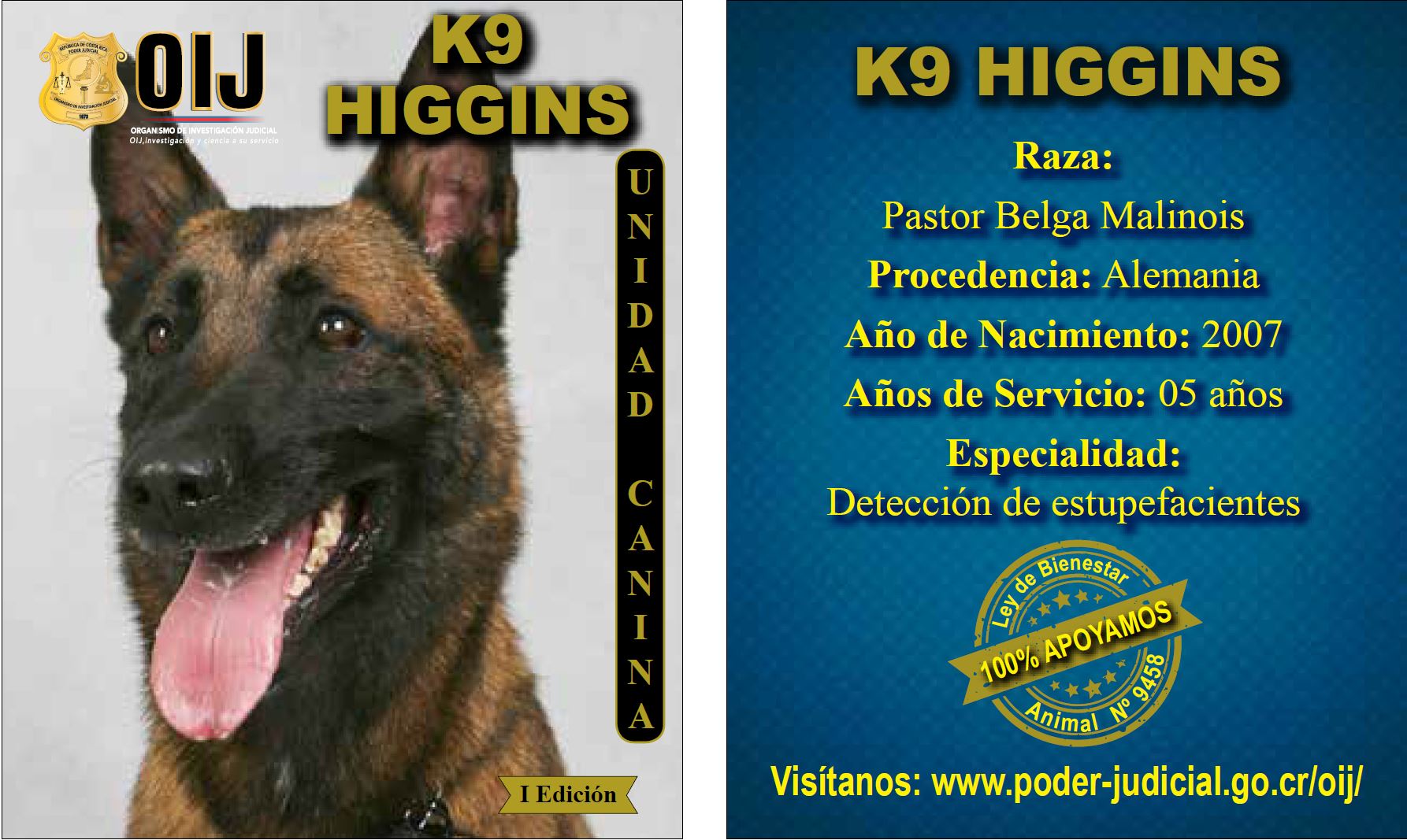 Higgins