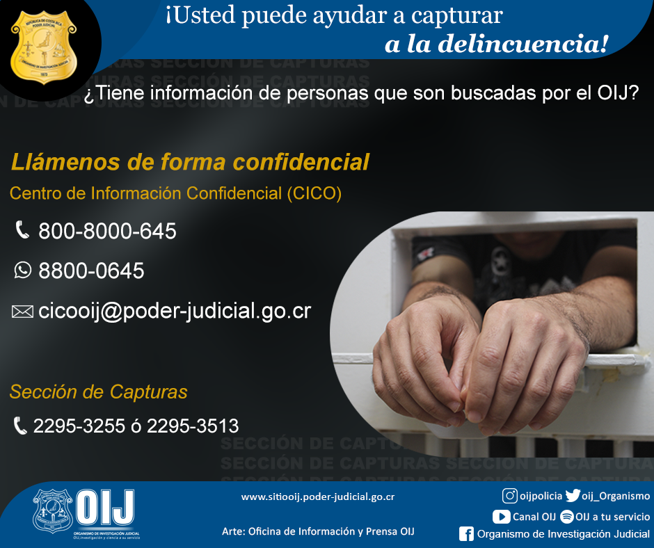 Imagen intro (Alt text)