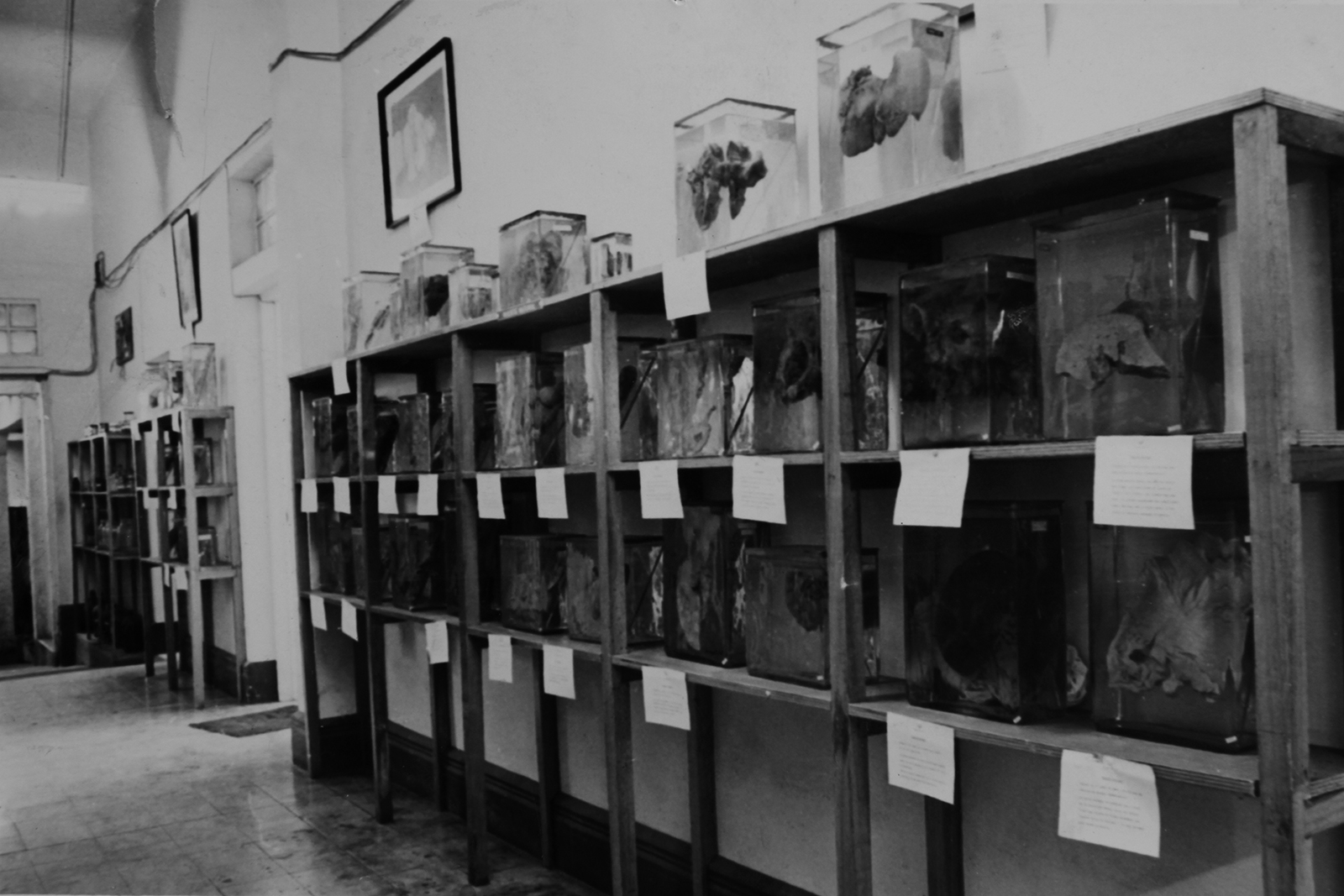 Edificación 07
