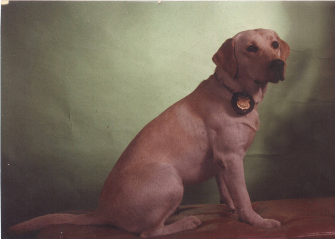 Rocky, Primer Hijo de un perro de la Canina (Hijo de Rock)