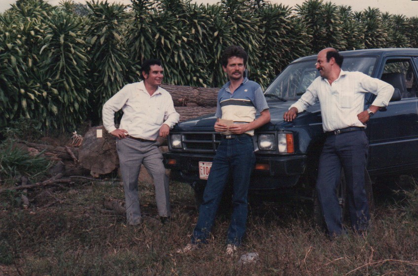 Vida Laboral 18