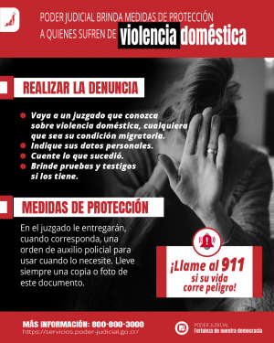 Medidas de protección a quienes sufren de Violencia doméstica