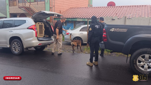 OIJ Monteverde: Tres personas detenidas como sospechosas de venta de droga en Santa Elena.