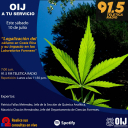 OIJ A Tu Servicio: “Legalización del cáñamo en Costa Rica y su impacto en los Laboratorios Forenses”