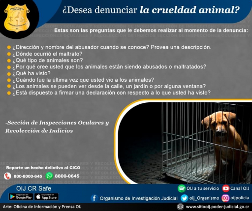 ¿Desea denunciar la crueldad animal?