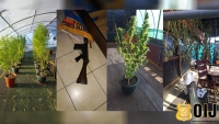 Detienen a hombre como sospechoso de Infracción a la Ley de Psicotrópicos