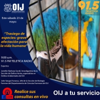 Trasiego de especies: grave afectación para la vida humana