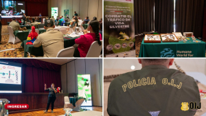 Personal del OIJ fortalece capacidades en manejo de fauna silvestre decomisada