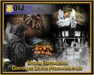 Creación de la Sección Especializada contra los delitos Medioambientales
