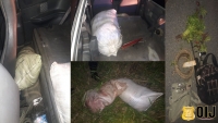 Detenidos sospechosos de Robo y Destace de Ganado