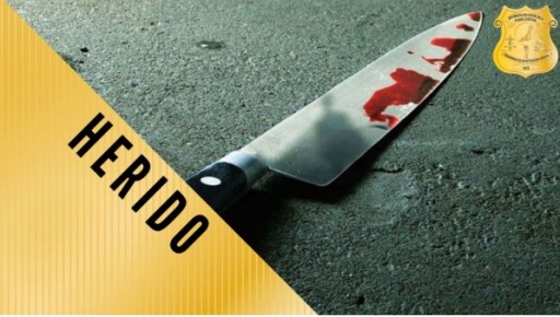 OIJ Subdelegación Regional de Nicoya: Un hombre falleció tras ser herido con arma blanca